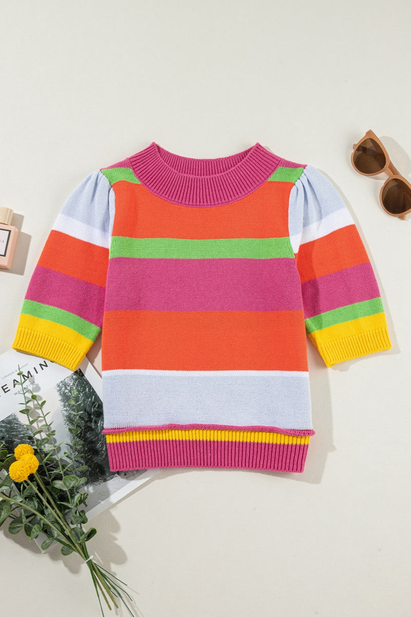 Color Block Round Neck Half Sleeve Knit Top