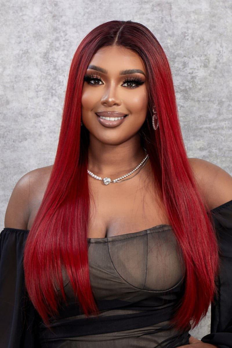13*2" Lace Front Wigs Synthetic Straight 26" 150% Density - Everydayswear